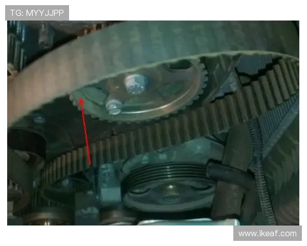 挖掘机风扇皮带自动张紧轮